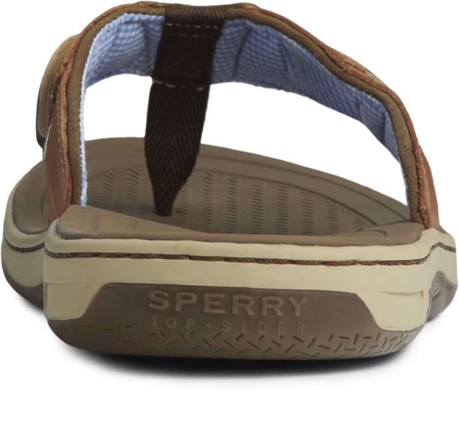 Baitfish Chanclas Cuero Marrón Sperry