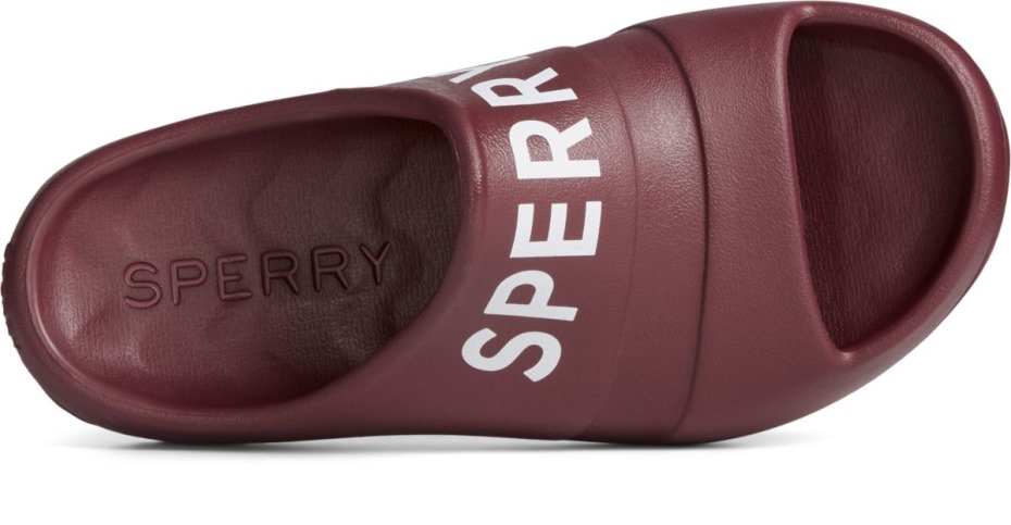 Sandalia Float Slide Logo Cordovan Sperry