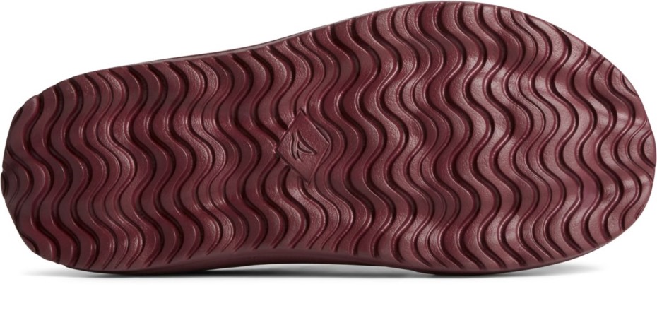 Sandalia Float Slide Logo Cordovan Sperry