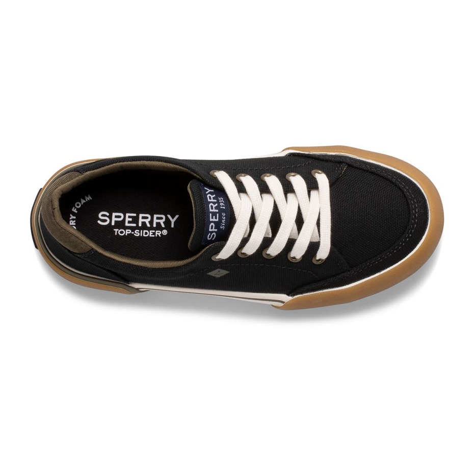 Zapatilla De Deporte De La Marea Del Puerto Negro Sperry