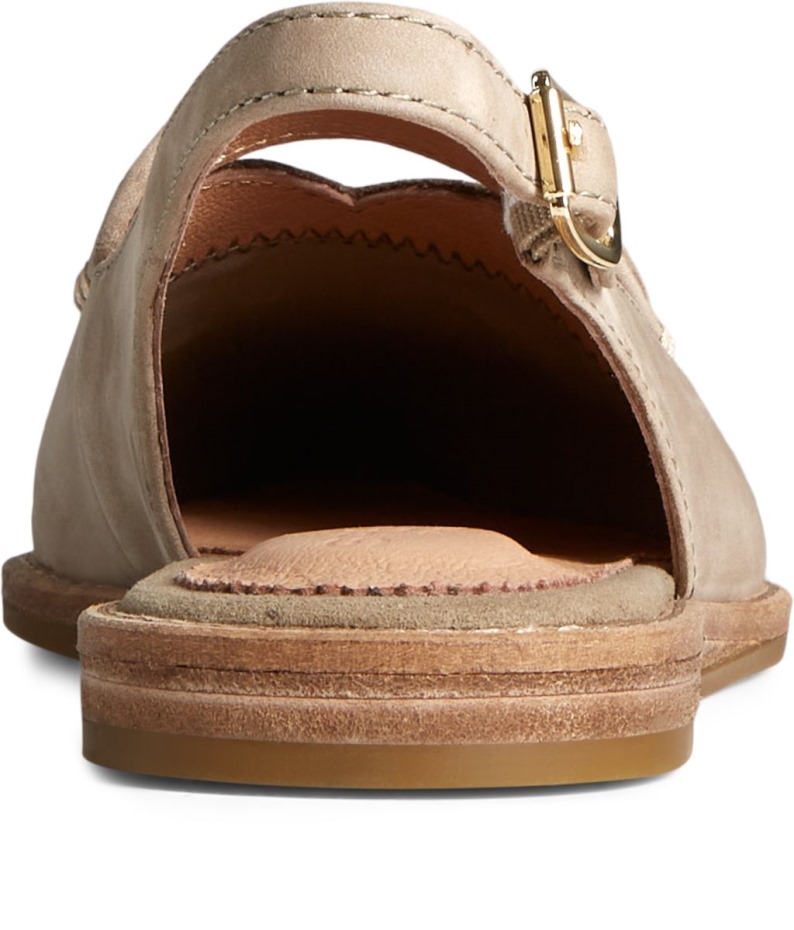 Slingback De Cuero Saybrook Taupe Sperry