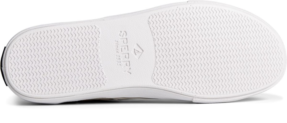 Zapatillas Sperry Striper Ii Ombre Cvo Cemento