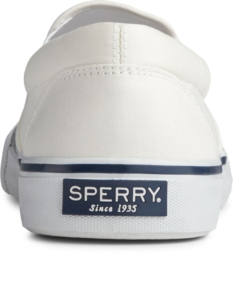 Sperry Striper Ii Sin Cordones En La Zapatilla De Deporte Blanco