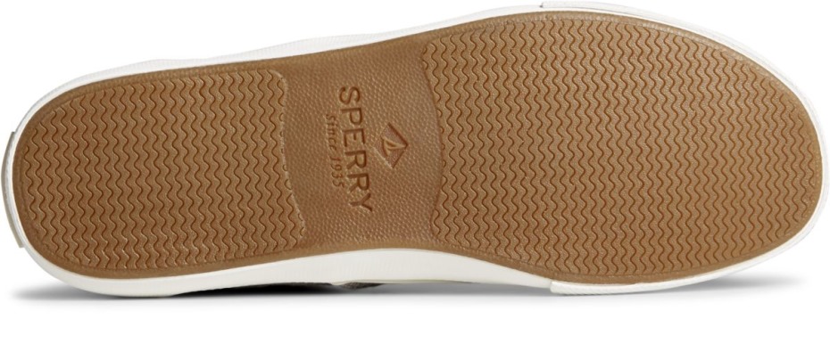 Zapatilla Striper Ii Cvo Cáñamo Gris Sperry
