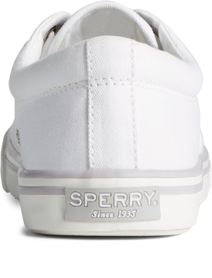 Zapatilla Striper Ii Cvo Blanco Sperry