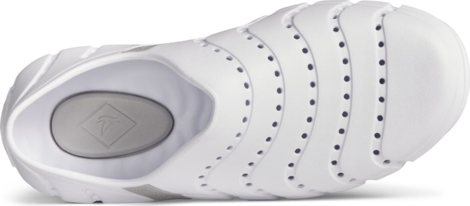 Sperry Zancudo De Agua